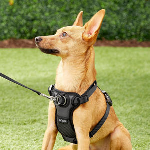 Neues Design No Pull Luxus Haustier Hunde geschirr Hund Großhandel Hunde geschirr maßge schneiderte Logo Hunde geschirr Hunde westen - Product Image 1