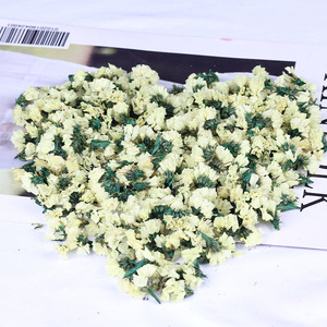 1kg 100% flores secas naturales/hierbas/sabor té no me olvides para decoración/hacer velas/Joyería de resina/bombas de baño - Product Image 5