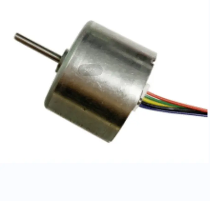 12 Volt Dc Borstel Minder Motor Dc 6000 Rpm Lage Output Voor Robotstofzuiger Dc Motor