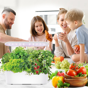 IGS-25 sistema idroponico elettronico intelligente per interni ciclo automatico erbe giardino di avviamento casa piantatore terreno di coltivazione - Product Image 4