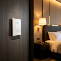 Interrupteur mural intelligent essentiel WHX02 2 gangs sans neutre WiFi Zigbee Tuya APP Commande vocale Alexa Google Home Android Hôtel Bar