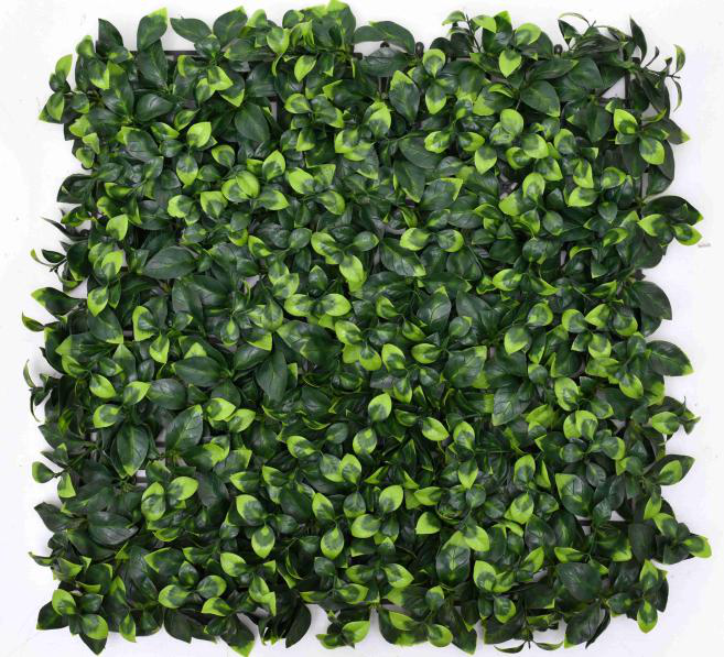 WHDY-2/2 50 cm * 50 cm