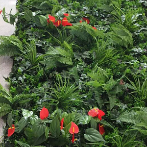 Directo de fábrica al por mayor alfombra de hierba jardín vertical verde artificial fondo de pared - Product Image 3