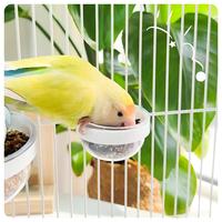Mangeoire transparente moderne en forme d'œuf pour oiseaux, avec clip, pour perruches, calopsittes, bol à graines Starry Bowl, à fixer sur cage, qualité alimentaire
