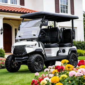 Voiturette de golf - 4 places, compacte, longue autonomie, pour parcours de golf, ranch, conduite sur routes non publiques, électrique - Product Image 1