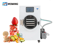 Fabriek Direct Maatwerk Thuis Gebruik Lyofilisator Mini Kleine Droogmachine 2Kg Vacuüm Vriesdroger Voor Fruit Melk HFD-1