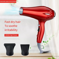 Sèche-cheveux 2000w pour salon à domicile Sèche-cheveux à séchage rapide et à faible bruit