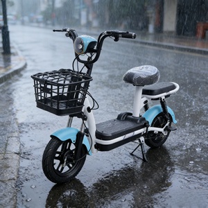 Nouvelle Arrivée Vélo de Ville Femme 14 pouces Moteur Brushless 3 Vitesses Affichage Numérique Batterie Plomb-Acide Autonomie 50km Panier Vente Chaude - Product Image 2
