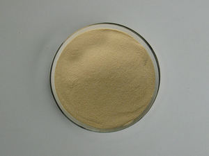 Matière première d'additif alimentaire extrait de levure en poudre - Product Image 2