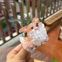 مشابك شعر أكريليك جديدة من YJL بتصميم حيوانات كرتونية (كلاب سامويد، بيجل، كورجي) للنساء، إكسسوارات شعر عصرية على الطراز الكوري للفتيات