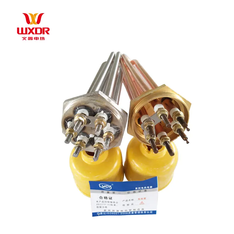Wenxin tùy chỉnh thép không gỉ hình ống điện kháng ngâm 12V 24V 48V DC nước nóng yếu tố nóng