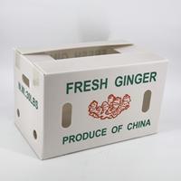 Boîte à gingembre pliable en PP ondulé, étanche, réutilisable, ventilée, lavable, empilable, écologique, recyclable, en plastique, pour produits frais