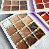 Palette de Correcteurs 12 Couleurs Sans Logo, Palette de Maquillage Contour, Palette de Maquillage Personnalisée à Marque Privée, Échantillon Gratuit