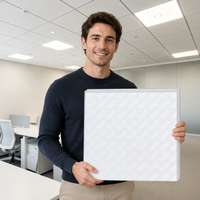 Placas de Techo de PVC Cuadradas Modernas, Insonorizadas e Ignífugas, Clase 24x24, Montaje Suspendido/Enrasado para Apartamentos, Centros Comerciales y Hoteles