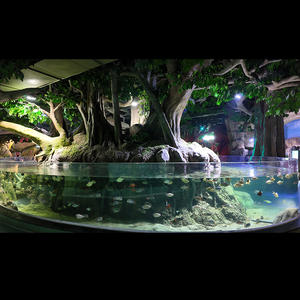 Récif artificiel en acrylique résistant aux chocs pour <span class=keywords><strong>l</strong></span>'aménagement paysager des aquariums - Product Image 6