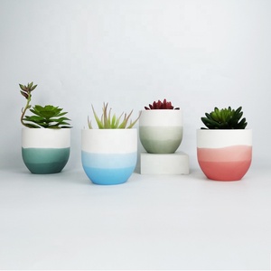 Pots pression atatatatuclower lower OTS mmmucucucucucucucculent OTS en POTS ulk eeauty aTiX IX leglegant Lant - Product Image 5