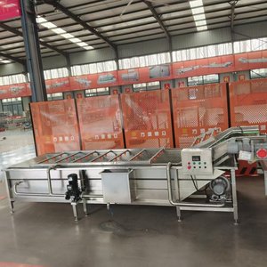 Convoyeur à godets modulaire en acier inoxydable de qualité alimentaire pour le levage des fruits et la manutention inclinée des matériaux - Product Image 6