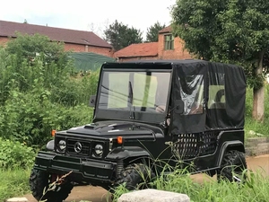 Nuevo Buggy Todoterreno de Gasolina de 250 CC para Adultos, Certificado CE, Garantía de 2 Años, Mini Jeep de 2/4/6 Plazas en Venta - Product Image 2