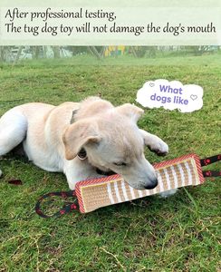 Köpek sert jüt Bite yastık römorkör oyuncak dayanıklı eğitim ekipmanları yavru köpekler büyük ve küçük köpekler için interaktif çiğneme oyuncağı