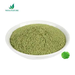 Manufacturer Price Good Price Moringa Leaf Powder Supplements Moringa Oleifera Powder