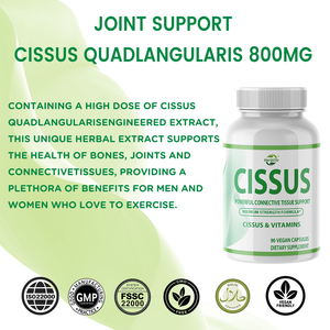 HACCP OEM ODM Cissus y Vitaminas 90 Cápsulas Veganas Fórmula de Máxima Potencia Suplemento Dietético para el Soporte de Huesos y Articulaciones - Product Image 3