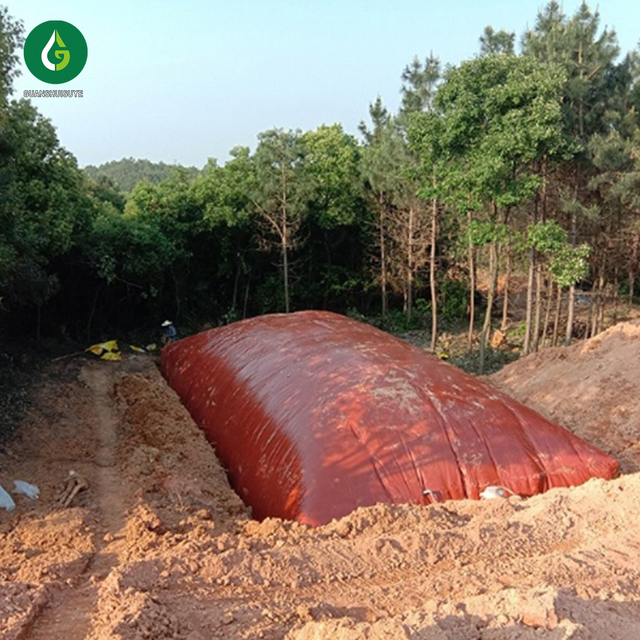 Factory Custom-made Commercial Biogas Plant Digester for Farms and Cow Dung Treatment