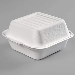 Miễn Phí Mẫu Bán Buôn Dùng Một Lần Môi Trường Phân Hủy Sinh Học Takeaway Vỏ Sò Hộp Thực Phẩm