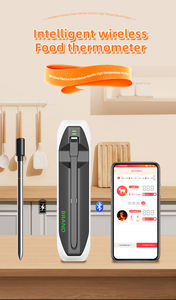 सबसे अच्छा बेच रसोई उपकरण निविड़ अंधकार वायरलेस स्मार्ट रसोई खाद्य Bbq मांस खाना पकाने के लिए डिजिटल थर्मामीटर - Product Image 2