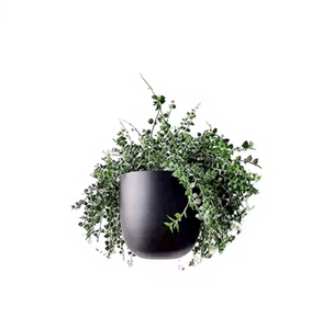 Soportes para Macetas de Piso, Duraderos y Ecológicos, para Jardín y Hogar, Zhongpin, los Más Vendidos, Estilo Americano Vintage, de Hierro con Recubrimiento en Polvo, para Colgar - Product Image 1