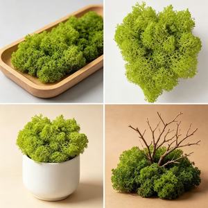 Kit Fai-da-Te per Muschio Eterno con Fiori Veri Essiccati - Terrari Creativi per <span class=keywords><strong>Micro</strong></span> Paesaggi, Decorazioni Artigianali per Interni/Esterni - Product Image 3