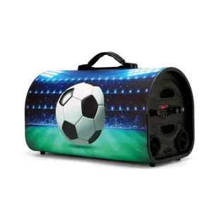 China factory new arrival Football speaker TTD-603A/B 6.5 inch portable bluetooth speaker