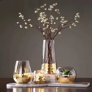 Conjunto de vaso de flores hidropônico transparente, vaso de vidro moderno simples