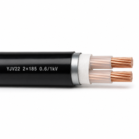 Câble d'alimentation blindé en cuivre à grande section YJV22 0.6/1kV 2 conducteurs 185mm² 300mm² isolé XLPE pour courant élevé 2*185