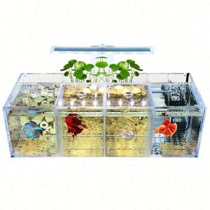 Accesorios de Decoración para Acuario Ecológico, Modernos, de Acrílico, Forma Rectangular, con Diseño de Cumpleaños y Naturaleza Muerta - Product Image 3