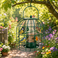 Mangeoire à oiseaux double cage avec tube à graines transparent, plusieurs perchoirs, grande poignée de suspension, plateau de base, décoration de jardin, en fer, écologique