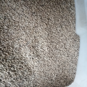 Frutto di Dong Kui Guo, Malva Cinese, FRUCTUS MALVAE in Vendita - Product Image 3