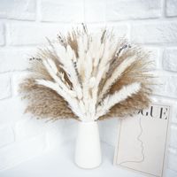 Bouquet de fleurs séchées, arrangement floral naturel séché pour la décoration d'événements de mariage, approvisionnement en gros, usine
