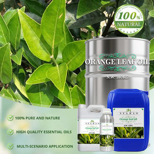OEM Service Cosmetic Grade <b>Orange</b> Leaf Oil Manufacturers Wholesale Bulk Pure Natural Petitgrain Oil - Product Image 4