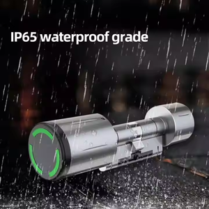 BLE Europa estándar TTLock Tuya App cerradura de cilindro inteligente RFID tarjeta IC cerradura de puerta de seguridad SISTEMA DE Control de acceso inalámbrico - Product Image 3