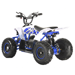Nuevo Modelo 2025, Cuatrimoto Eléctrica para Niños de 800W, Diseño Mini Raptor, Cuatrimoto de Alta Calidad de 4 Ruedas para Niños - Product Image 6