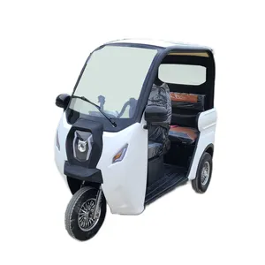 Tuk Tuk Electric 3 Wheels Motorcycle 1000W Tricycle Adult With Roof
