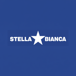 Cortador rotativo WHITE STAR HSS Art. 25 Fig.43 Enrutador de madera ovalada Modelo 0250432 - Product Image 1