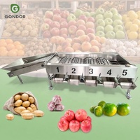 Paddenstoelenrolmachine Oranje Prijs Wassen Wassen en waxen Ananas Fruit Sorteermachine Jujube Sorteermachine Blauwe bes Sorteermachine Papaya en sorteermachine