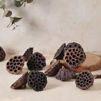 Grands tiges de lotus séchées naturelles écologiques, herbe de la pampa marron pour Halloween, mariage, Saint-Valentin, fête des Mères, Pâques
