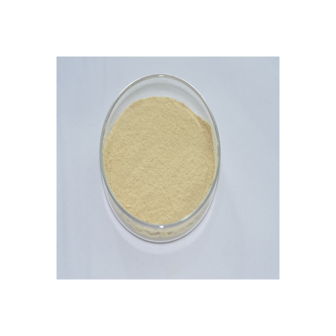 High-quality Microorganisms Organic Brevibacillus Laterosporus Biological Fertilizer