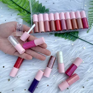 Mini Free Sample Private Label Matte Glossy Lip Gloss Shiny Lipgloss Glossy Lip Gloss Lipstick Set Nude Lip Gloss