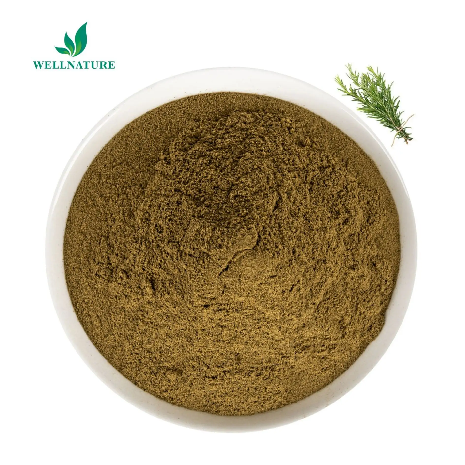 Hot bán Chất lượng cao Rosmarinus oficinalis L 30% rosmarinic axit hương thảo chiết xuất bột