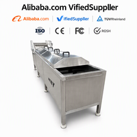 China Oorsprong Havery Voedselverwerkende Machine Voor Het Blancheren Van Aardappel, Broccoli, Pinda 'S, Vruchten, 300-2000 Kg/u Capaciteit