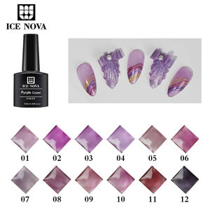 1kg Gel Polish <span class=keywords><strong>Violet</strong></span> Cristallin Translucide Soak Off UV LED pour Nail Art, Kit de Démarrage Manucure Salon DIY à Domicile - Product Image 4