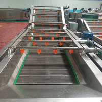Machine de lavage des légumes à bulles, ml, de grande capacité, pour pommes de terre, radis, Fruits et légumes